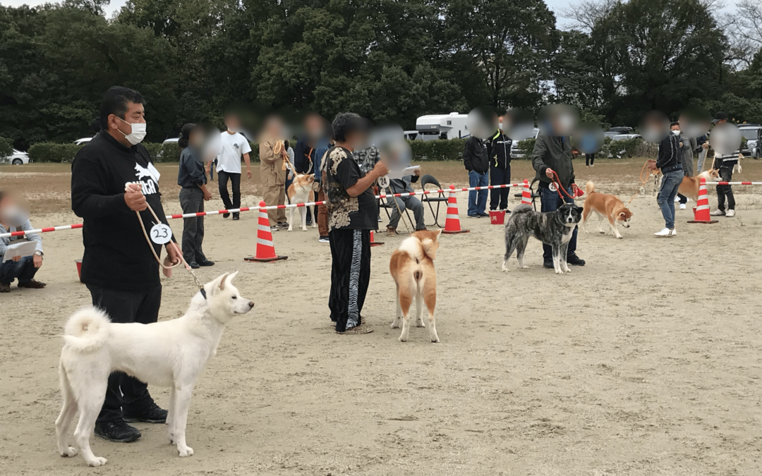 秋田犬保存会、展覧会。