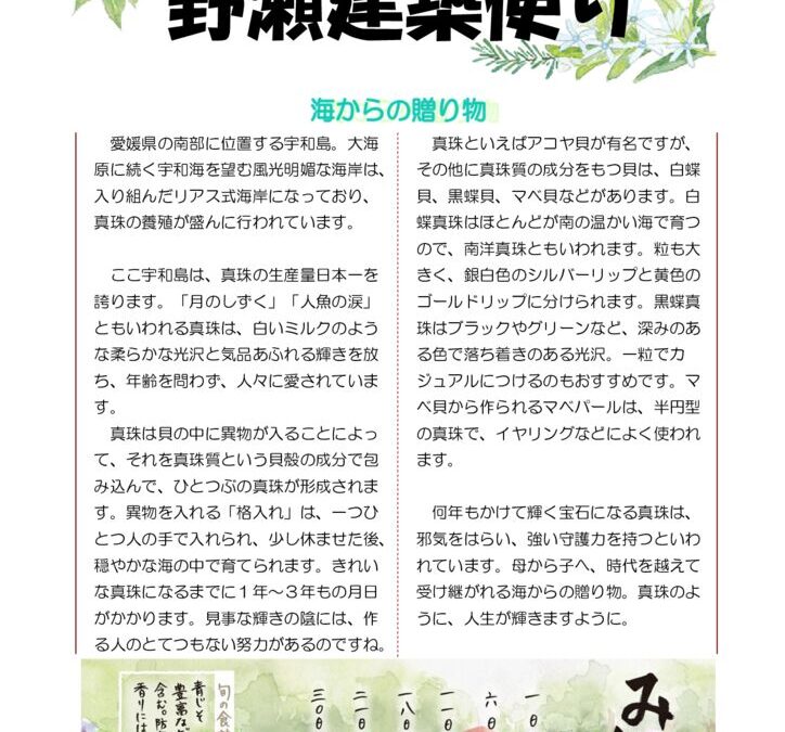 野瀬建築便り　2023年6月号