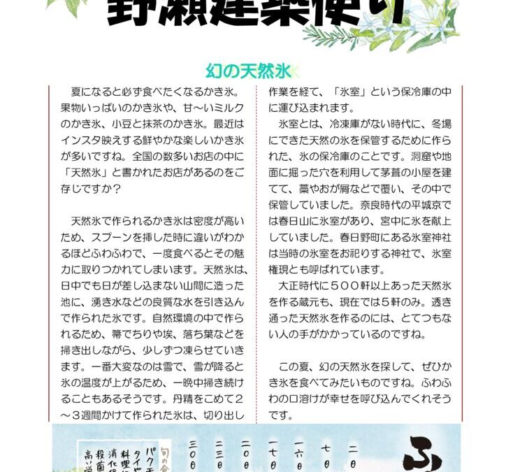 野瀬建築便り　2023年7月号　　　　　　　　　　　　　　　　　　