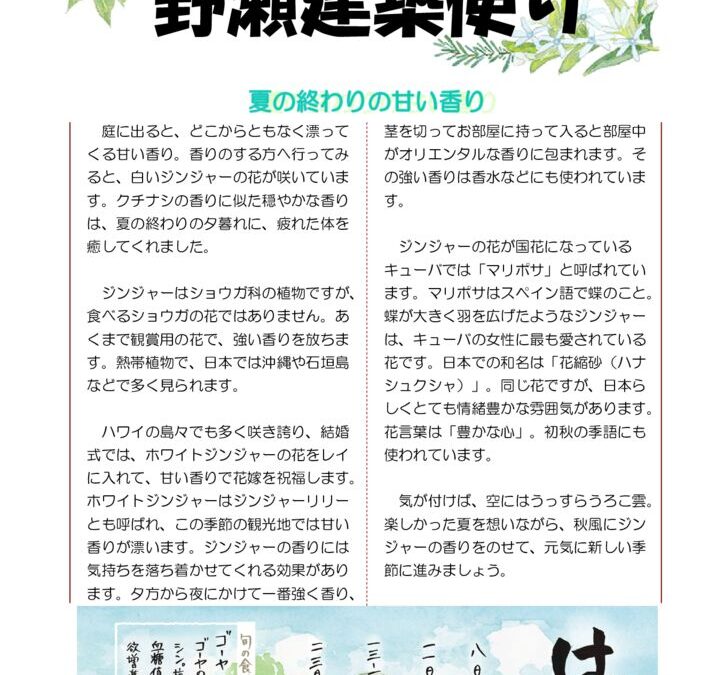 野瀬建築便り　2023年8月号