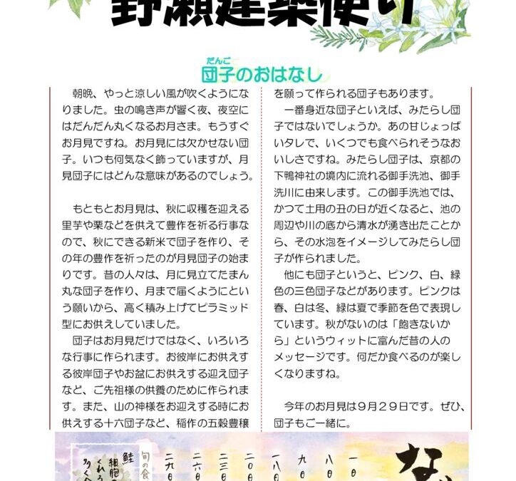 野瀬建築便り　2023年9月号