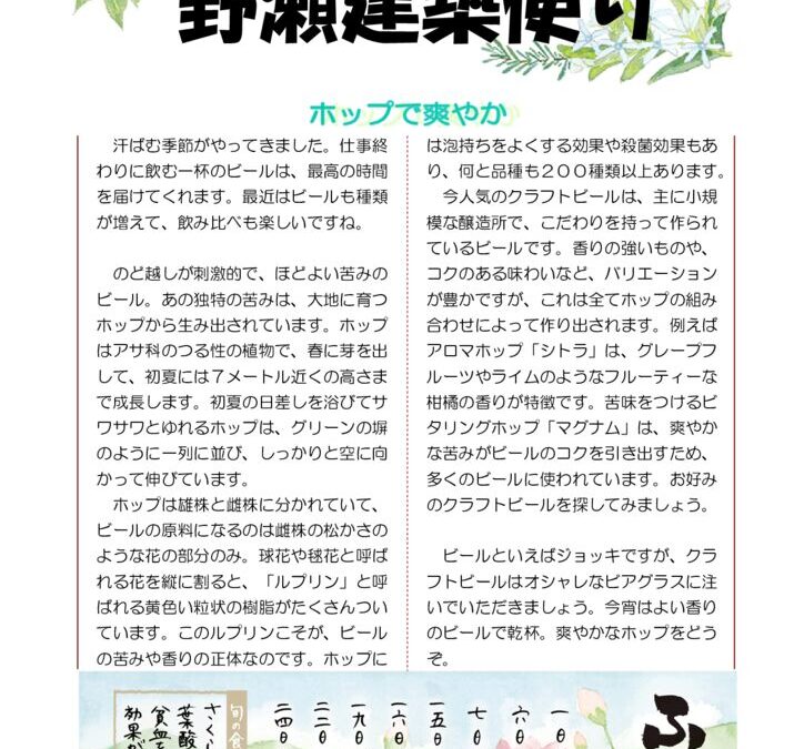 野瀬建築便り　2024年7月号