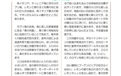 野瀬建築便り　2024年8月号