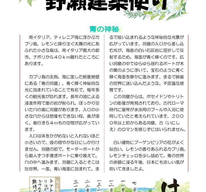 野瀬建築便り　2024年8月号