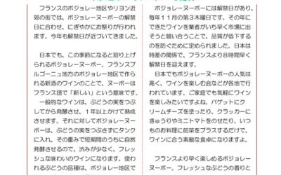 野瀬建築便り　2024年11月号