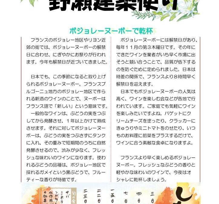 野瀬建築便り　2024年11月号