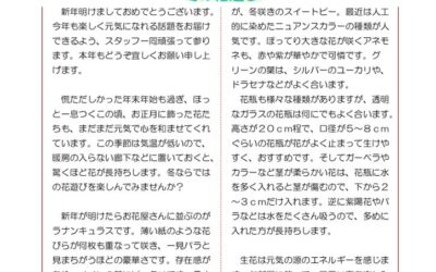 野瀬建築便り　2024年12月号