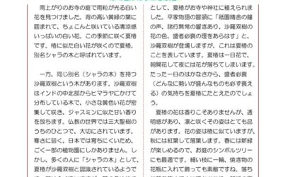 野瀬建築便り　2025年6月号