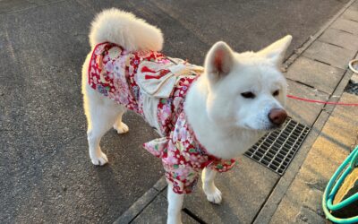 2026年もよろしくお願いいたします。